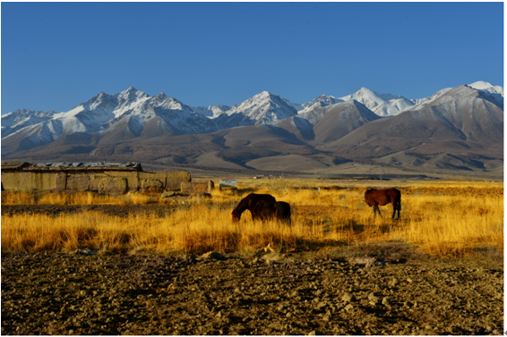 62D624BCB9CCEDD7B8FE1DAD1E9_4D56C9EC_5B49B.jpg?e= 62D624BCB9CCEDD7B8FE1DAD1E9_4D56C9EC_5B49B.jpg?e=