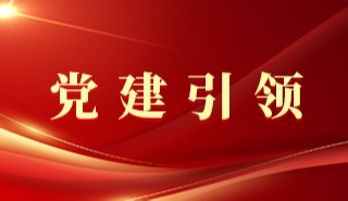 ��ҳ|�Ϲ�NG28��������Ʒ��ʵ������