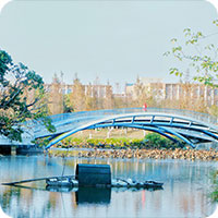 ��ҳ|�Ϲ�NG28��������Ʒ��ʵ������